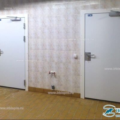 Распашные холодильные противопожарные двери общего назначения РДО (EI60)