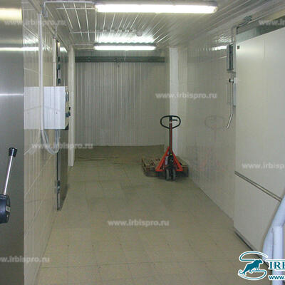 Распашные двери специального назначения РД (СН)